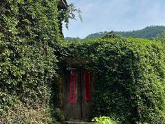 -杨家堂村