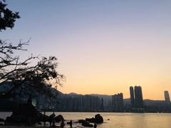 -鲤鱼门海鲜街