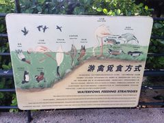 -九龙公园
