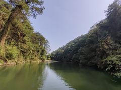 -南山植物园