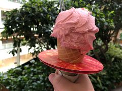 -野人先生现做冰淇淋(西安赛格店)