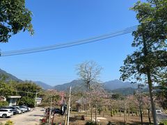 -竹乡园柴火竹筒饭·烧鸡(白水寨*森林海店)