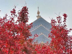 -牛首山文化旅游区