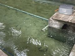 -光头佬室内钓虾场·烧烤·团建·亲子(中山八路店)