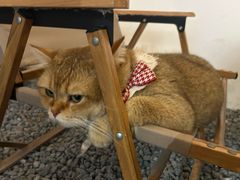 -想见你(咖啡·茶饮·甜品·江汉路店)