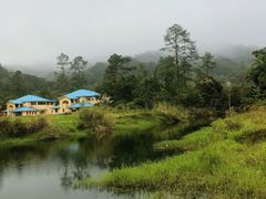 -海南热带雨林国家公园吊罗山景区
