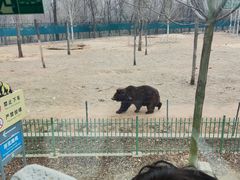 -秦皇岛野生动物园