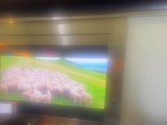 -河坝烧烤串城(金达莱店)