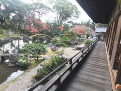 -醍醐寺