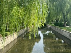 -元大都城垣遗址公园