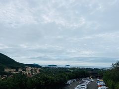 -三亚亚龙湾金棕榈度假酒店