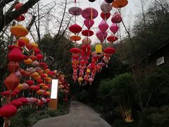 -融汇温泉