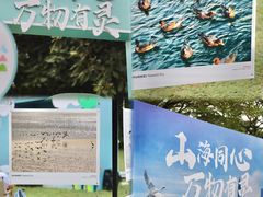 -深圳湾公园(南山区)