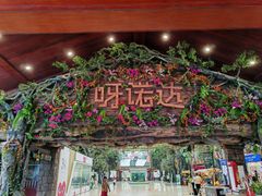 -呀诺达热带雨林