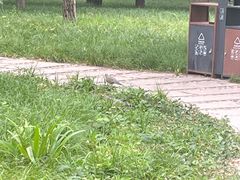 -欧韵公园