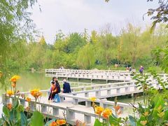 -洋湖国家湿地公园