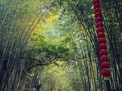 -竹泉村旅游度假区