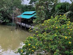 -大湾区中央湿地公园