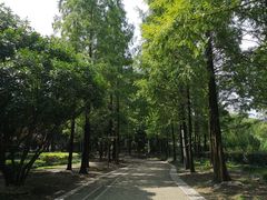 -苏州河梦清园环保主题公园