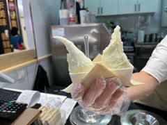 -野人先生现做冰淇淋(西安赛格店)