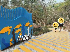 -广东惠东海龟国家级自然保护区