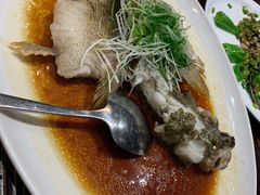 清蒸石斑鱼-猪肉婆私房菜(容桂总店)
