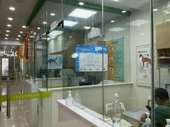 -瑞鹏宠物医院华南总院·夜诊·心脏科·骨科
