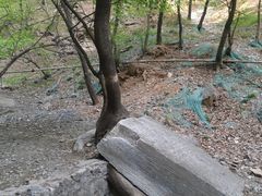 -北京上方山国家森林公园