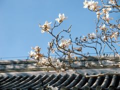 -陶然亭公园