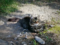 -北京西山国家森林公园