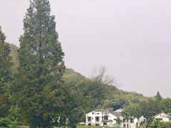 -灵顺寺
