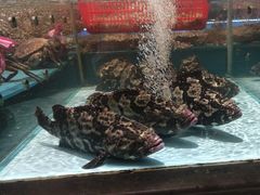 -阿伟海鲜楼·福建菜(延寿店)