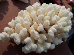 20121025_121913-老味道民宿(栈桥店)