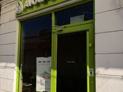 -油梨树AVOCADO TREE(顺义新国展店)