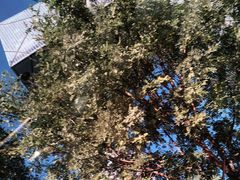 -中央广播电视总台(光华路办公区)