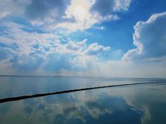 -藏书羊肉(邓尉山路店)