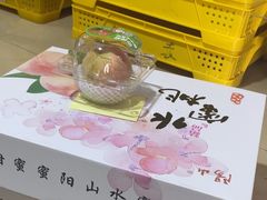 -老袁家蜜桃农场·阳山水蜜桃