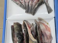-中山脆肉鲩(新圳东路店)