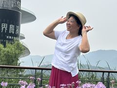 -梅溪湖城市岛