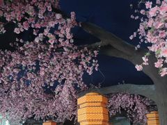 -荷塘秋月·本帮江浙菜(国权路店)