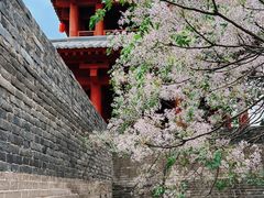 -函谷关历史文化旅游区