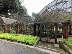 -槟城植物园