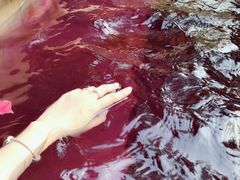 -天目湖涵田半山温泉