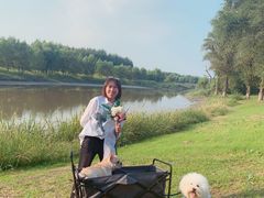 -蒲河岛湿地公园