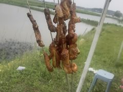 -梁子湖东篱老屋生态庄园