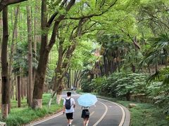 -采石矶景区