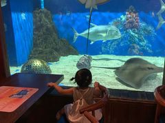 -成都浩海立方海洋公园