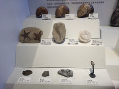 -重庆自然博物馆(新馆)