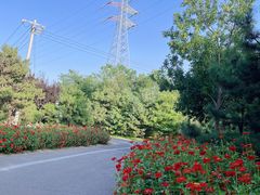 -永定河休闲森林公园