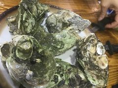 -大富蚝乌东哥饭店·石锅鱼杂·柠檬鸭(革新路店)